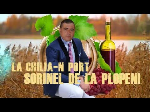 sorinel de la plopeni erai fata de la tara